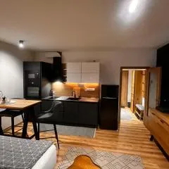 Apartment Budweis 1kk České Budějovice