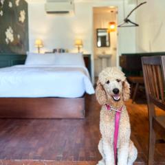 MiraNamin Nest CALACHUCHI Room in Unique Historic Home - Balcony, Rooftop, Garden View, Shared Kitchen, Pet Friendly with a Fee