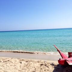 Chris House Mondello