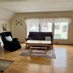Budget apartment in Gravdal