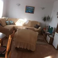 Spacious and Cozy Apartments Dugi Rat