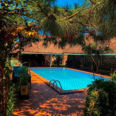 Elite Backpackers Services