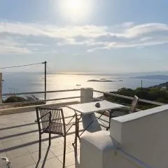 Stella's House