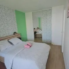 grand appartement 2 pièces en résidence
