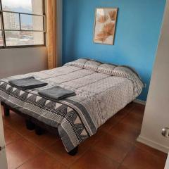 Lindisimo departamento en el centro de Santiago Cercano a Parque O Higgins