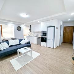 Coeur d'Albertville - Hyper Centre- Gare à 800 m