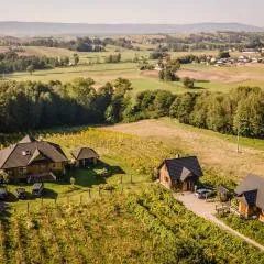 Winnica Nad Źródłem - Domki w winnicy z kominkami i tężniami