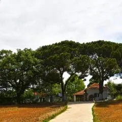 The Ranch of Ancient Ilida