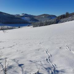 gemütliche Dachgeschoss- Ferienwohnung im Grünen
