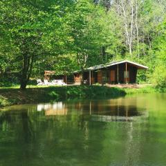 Chalet - gîte avec étang