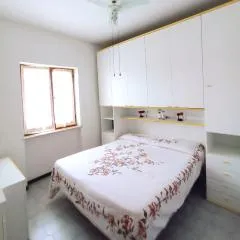 Rondinella