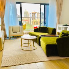 Cosy 2 bedroom APT in KILELESHWA