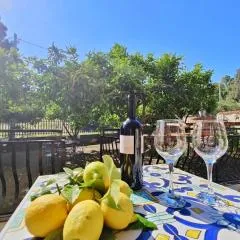Lemon Tree Home