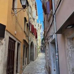 Apartments with WiFi Rovinj - 24258