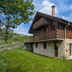 Chalet spacieux à La Bresse, idéal pour familles et amis - FR-1-589-679