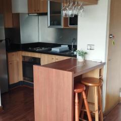 Gasset Aparments Lyon