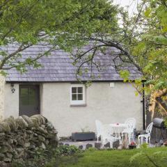 Cwt Mochyn