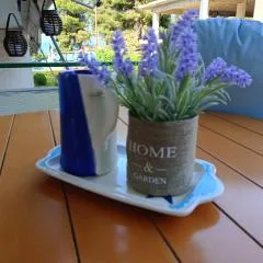 Four Reasons Apts Kamena Vourla