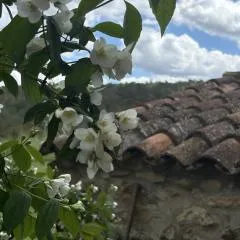 Casa de Campo en un Paraje Natural
