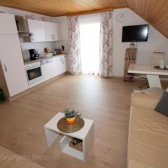 Landhaus Nepo - Appartement 4