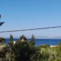 Asteria Apartments