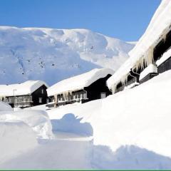 Røldal ski in ski out