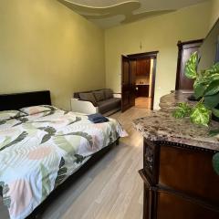 Kotlyarska Apartments Lviv