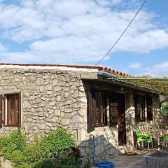 Apartments by the sea Veli Losinj, Losinj - 24371