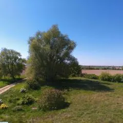 Der Landhof Weide