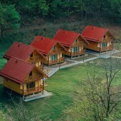 Agro Domki Pod Jesionem