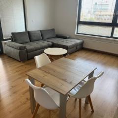 CityPark Apartment, free parking & AC