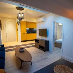 Stylish Central Cannes Apartment