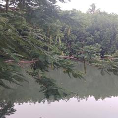 SeaSide Amour Rendezvous Homestay and Airport Shuttle