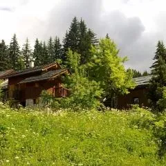 Meribel Altitude1600 chalet 6 personnes en pleine nature au milieu des pistes