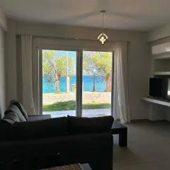 Serene beach house