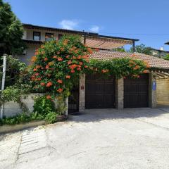 Пансион Делфини Варна