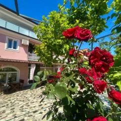 Apartments Tereza