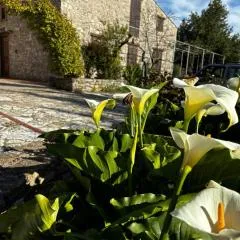 Agriturismo Santa Venera
