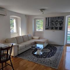 Apartment in centre of Milna