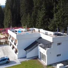 SUGARFAME- Guest House