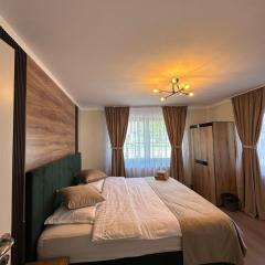 Apartament la casă