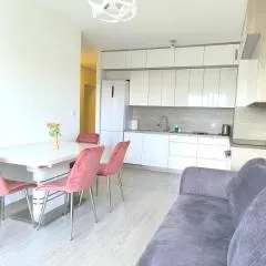 Apartament Konarskiego