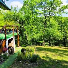 UNDER THE GREEN ROOF