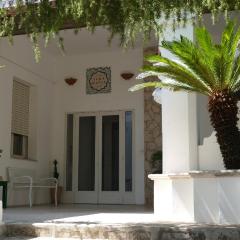 Affitta camere ALMA MATER