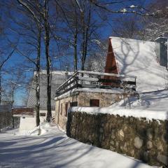 Planinska kuća BRDO