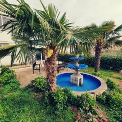 Apartman Viki