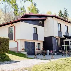 Apartmán Pod Žalým