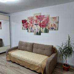 Targu Jiu Central Apartment - Free Parking & Self Check-In