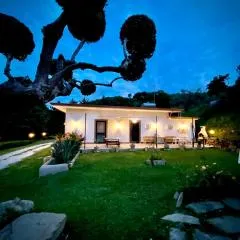 Alba in vigna Bed and Breakfast