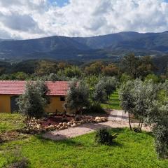 Quinta-lina de serpins